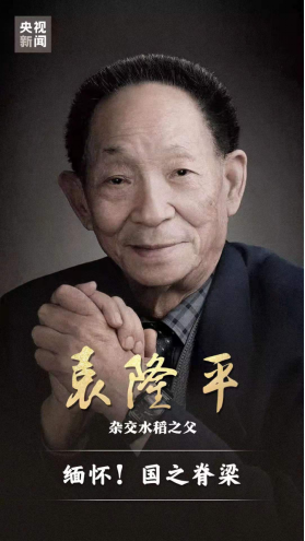 &#21315;&#20159;&#24179;&#21488;&#45;&#21315;&#20159;&#65288;&#20013;&#22269;&#65289;&#19968;&#31449;&#24335;&#26381;&#21153;&#24179;&#21488;
